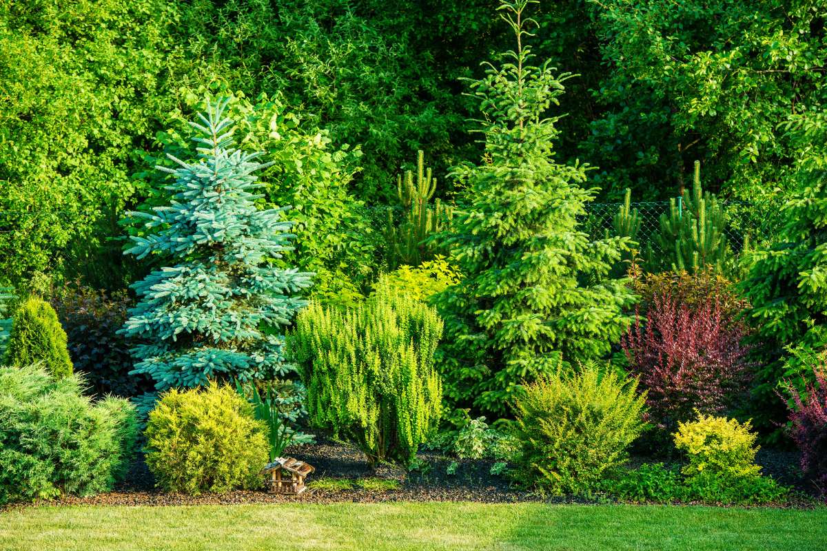 Comment créer un jardin zen chez soi